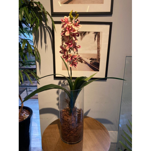 Orquídea Cimbidium x19 Real Tok Permanente Perfeita, aramada, lavável, ideal para ambientes internos e corporativo, não precisa regar.